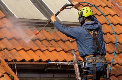 Démoussage et hydrofuge de toiture à Barraux